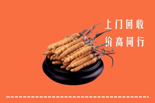 高价求购：邵阳回收散虫草