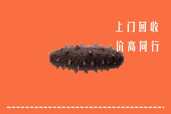 邵阳回收海参