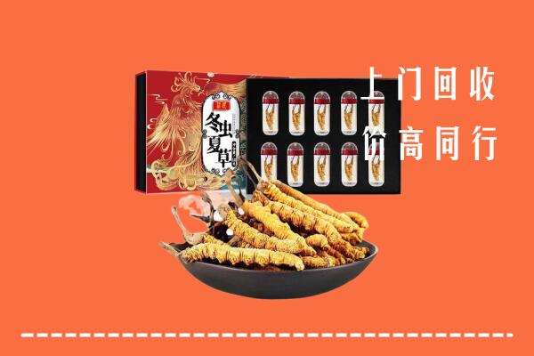 邵阳回收虫草
